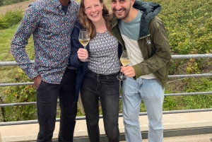 Из Эперне: однодневная поездка с дегустациями шампанского