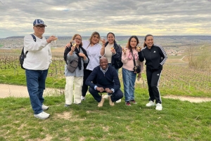 Из Эперне: однодневная поездка с дегустациями шампанского