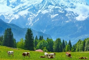 Au départ de Genève : Excursion privée à Chamonix Mont-Blanc