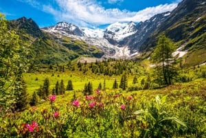 Fra Genève: Privat dagstur til Chamonix Mont-Blanc