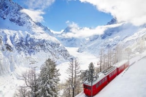 Von Genf aus: Unabhängiger Halbtagesausflug nach Chamonix Mont-Blanc
