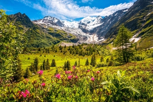 From Geneva: Private Chamonix-Mont-Blanc Day Trip