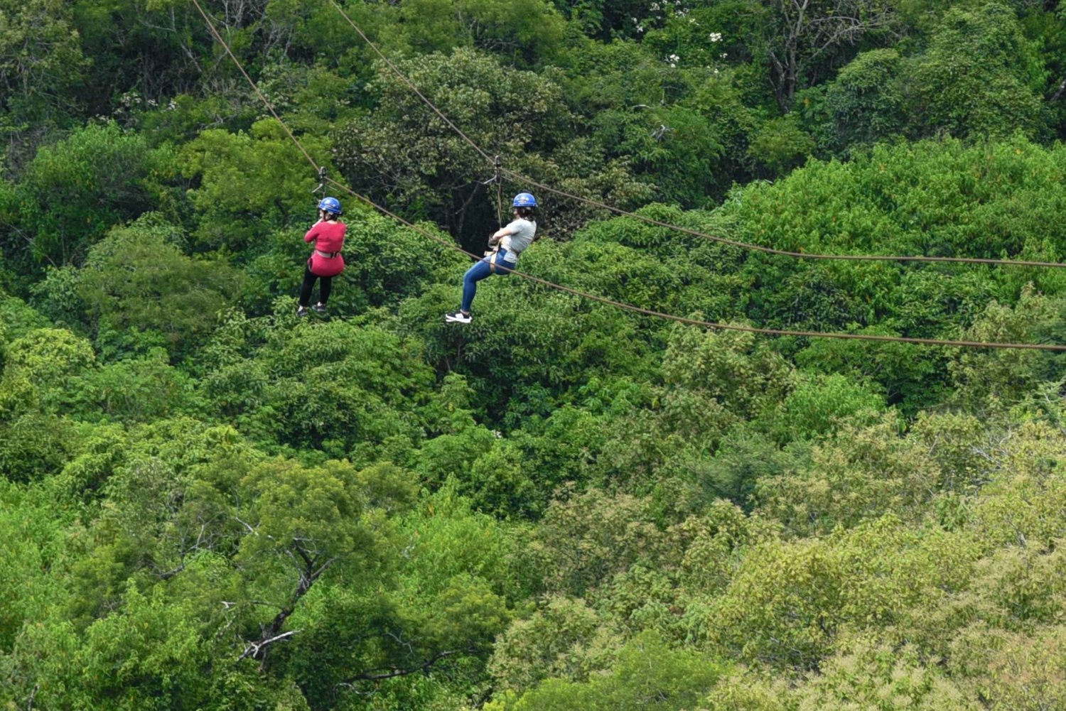 Da Guadalajara: visita guidata a Mazamitla e all'Eco-Park