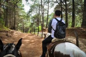 Da Guadalajara: visita guidata a Mazamitla e all'Eco-Park