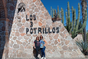 Da Guadalajara al Lago Chapala: Tour divertente e culturale