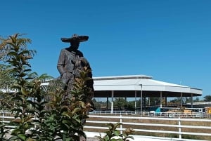 Da Guadalajara al Lago Chapala: Tour divertente e culturale