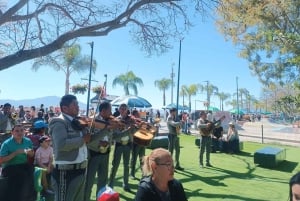 Da Guadalajara al Lago Chapala: Tour divertente e culturale