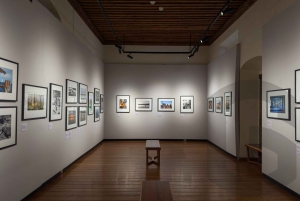 From Guanajuato: Private Day Tour to San Miguel