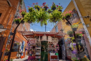 From Guanajuato: Private Day Tour to San Miguel