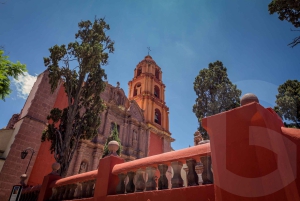 From Guanajuato: Private Day Tour to San Miguel