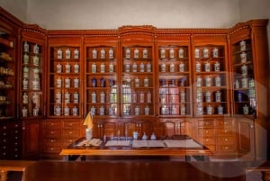 From Guanajuato: Private Day Tour to San Miguel