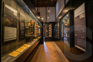 From Guanajuato: Private Day Tour to San Miguel