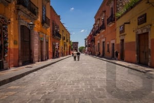 From Guanajuato: Private Day Tour to San Miguel