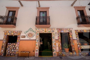 From Guanajuato: Private Day Tour to San Miguel