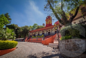 Von Guanajuato aus: Private Tour nach San Miguel