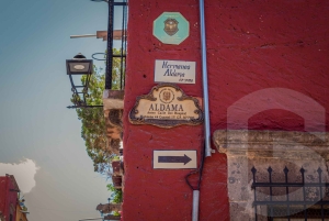 Von Guanajuato aus: Private Tour nach San Miguel