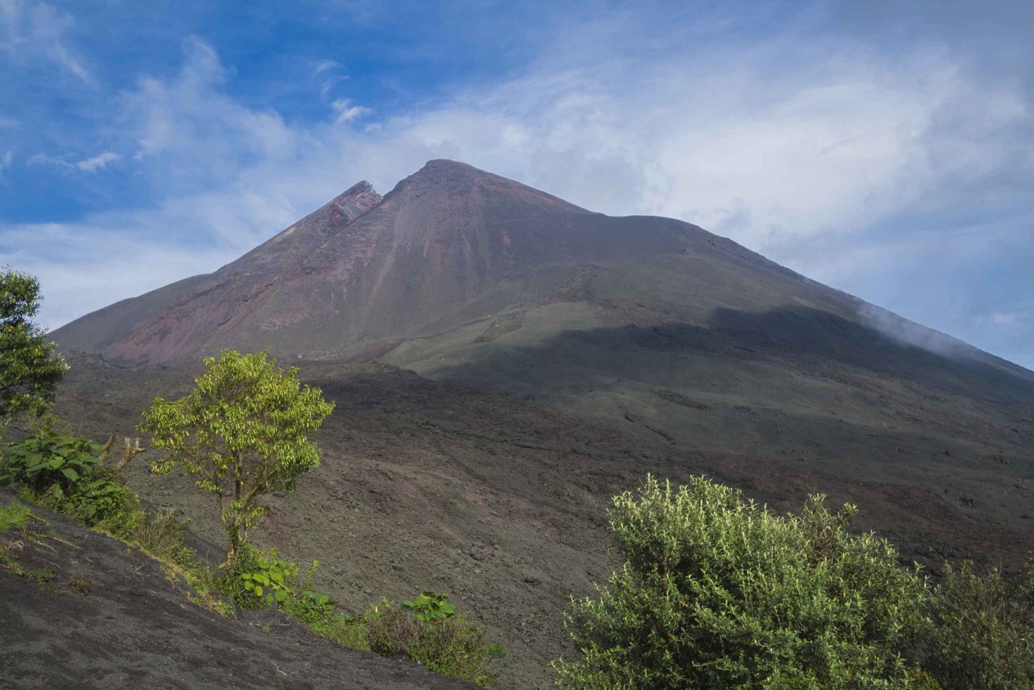 Da Città del Guatemala o Antigua: tour di un giorno del vulcano Pacaya