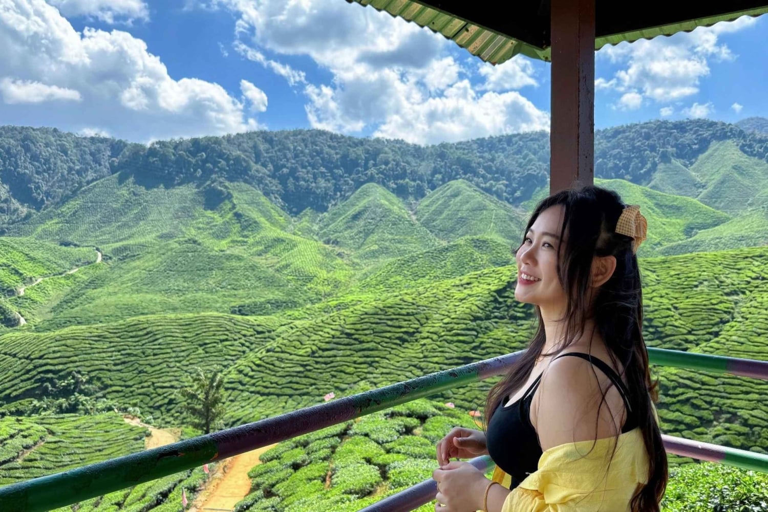 De Kuala Lumpur: excursão de um dia a Cameron Highlands com almoço