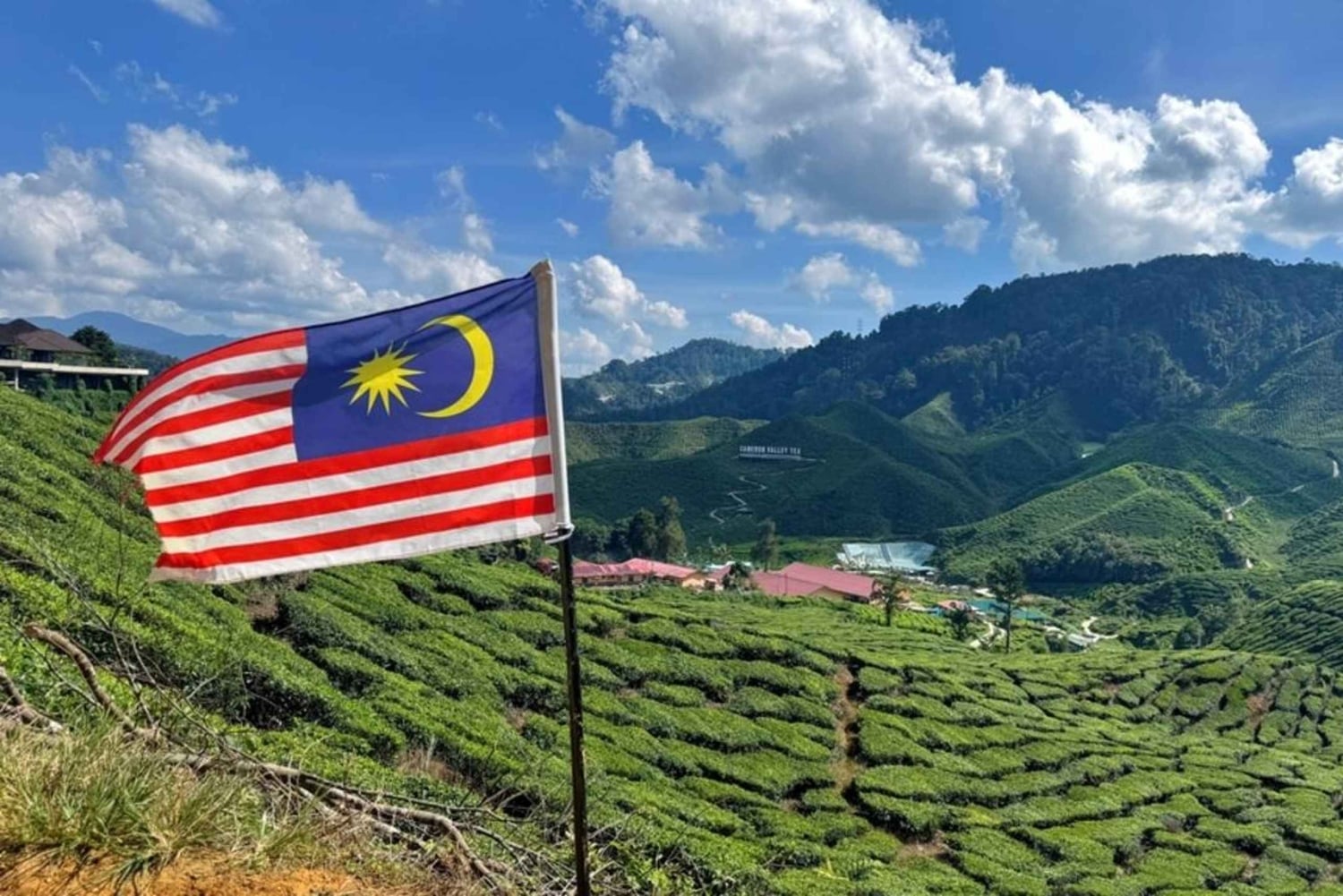 De Kuala Lumpur: excursão de um dia a Cameron Highlands com almoço