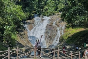 De Kuala Lumpur: excursão de um dia a Cameron Highlands com almoço