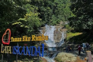 De Kuala Lumpur: excursão de um dia a Cameron Highlands com almoço