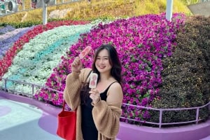 De Kuala Lumpur: excursão de um dia a Cameron Highlands com almoço