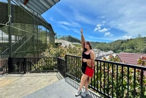 De Kuala Lumpur: excursão de um dia a Cameron Highlands com almoço