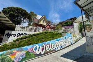 De Kuala Lumpur: excursão de um dia a Cameron Highlands com almoço