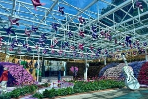 De Kuala Lumpur: excursão de um dia a Cameron Highlands com almoço