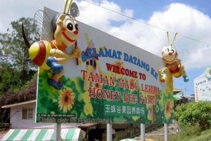 Vanuit Kuala Lumpur: Cameron Highlands privé- of gezamenlijke tour