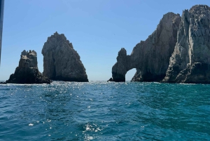 - From La Paz to Los Cabos: A Private Tour at Your Own Pace'.