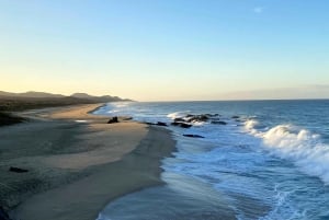 - From La Paz to Los Cabos: A Private Tour at Your Own Pace'.