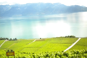 Из Лозанны: экскурсия в Монтрё, Чаплин и Шильонский замок