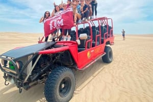 From Lima: Day trip to Oasis Costa Rica and the Ballestas Islands