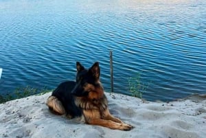 From Lima: Day trip to Oasis Costa Rica and the Ballestas Islands