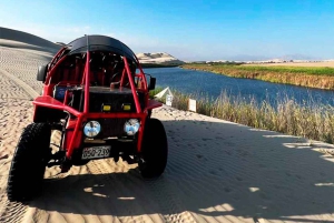 From Lima: Day trip to Oasis Costa Rica and the Ballestas Islands