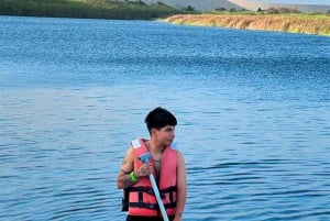 From Lima: Day trip to Oasis Costa Rica and the Ballestas Islands