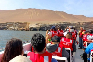 Von Lima aus: Ganztagestour nach Paracas und zur Wüstenoase Huacachina
