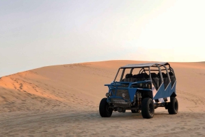 Von Lima aus: Ganztagestour nach Paracas und zur Wüstenoase Huacachina