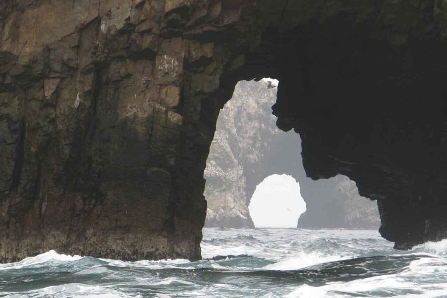 From Lima: Full-Day Tour of Islas Ballestas and Huacachina