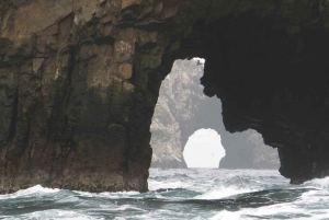 From Lima: Full-Day Tour of Islas Ballestas and Huacachina