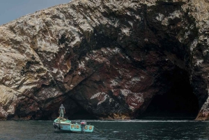 From Lima: Full-Day Tour of Islas Ballestas and Huacachina