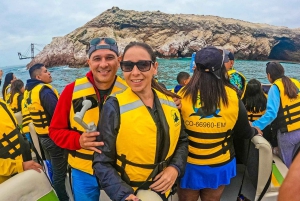 De Lima: excursão de dia inteiro a Paracas e ao Oásis de Huacachina