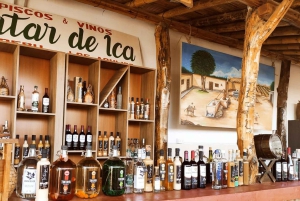 De Lima: excursão de dia inteiro a Paracas e ao Oásis de Huacachina