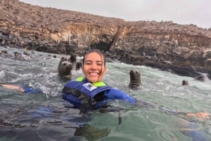 From Lima: Palomino Islands, Sea Lions Swim & Yacht Tour