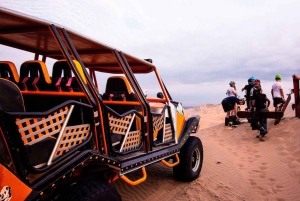 From Lima: Paracas and Huacachina Guided Desert Oasis Trip