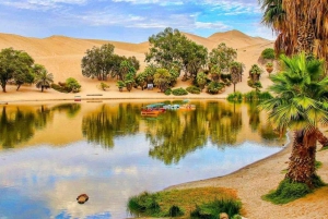 From Lima: Paracas and Huacachina Guided Desert Oasis Trip