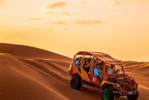 From Lima: Paracas and Huacachina Oasis + Entrance and Lunch