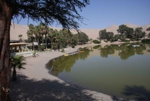 From Lima: Paracas and Huacachina Oasis + Entrance and Lunch