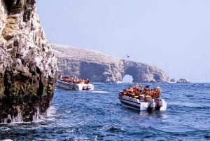 From Lima: Paracas and Huacachina Oasis + Entrance and Lunch